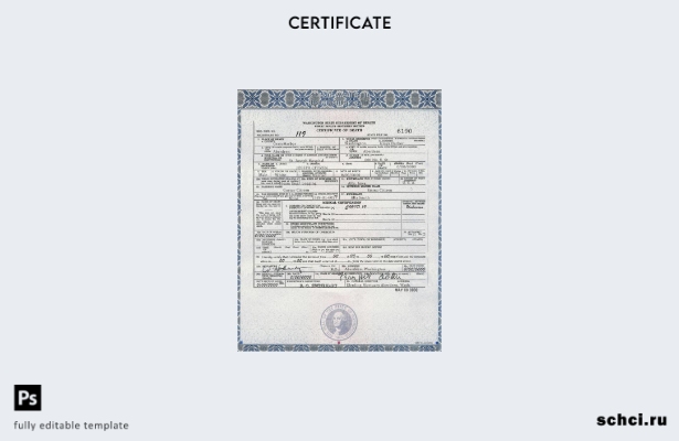 скачать цифровую версию США, штат Вашингтон, шаблон свидетельства о смерти в фор